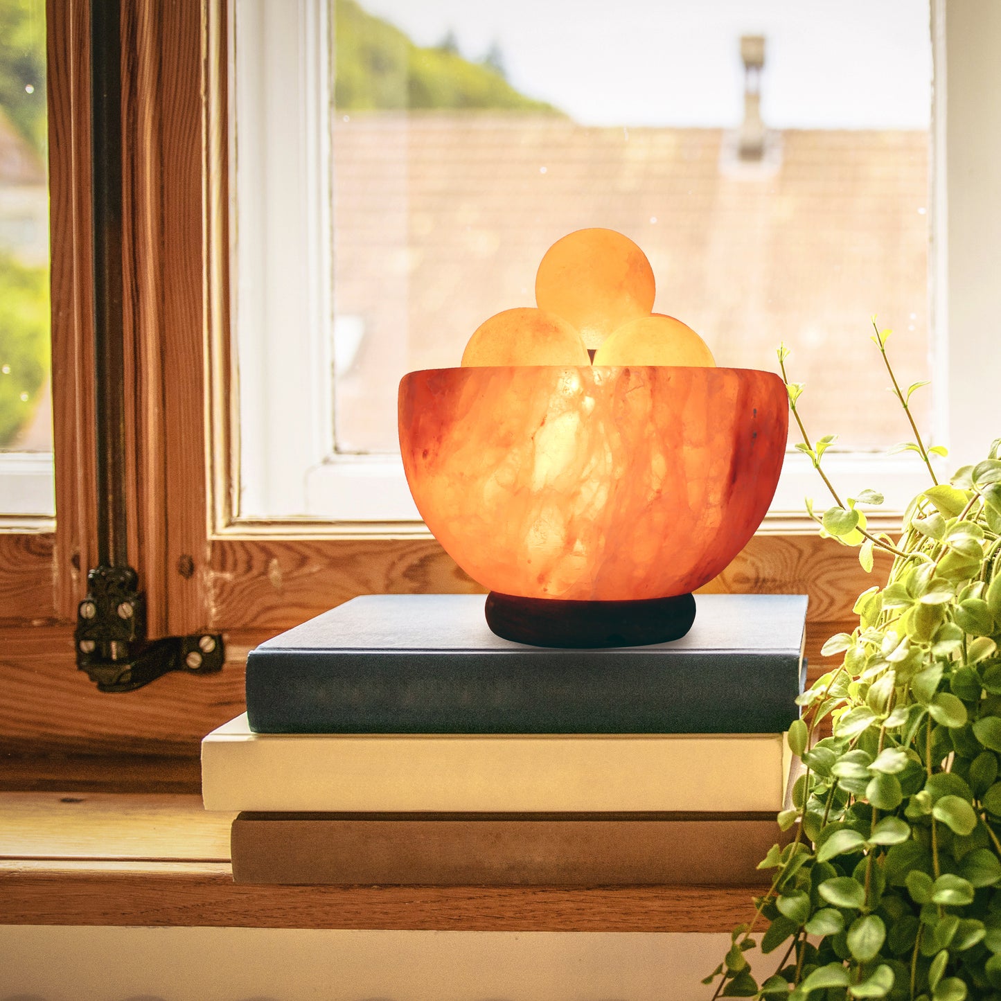 Himalayan Salt Lamp Bowl with Modern Wood Base and Pink Salt Balls