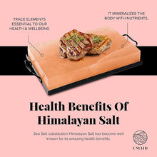 Himalayan Salt Culinary Block - Black Iron