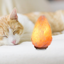 Natural Himalayan Rock Salt Lamp + Salt lamp and Salt night light Replacement bulbs (6-Pack)