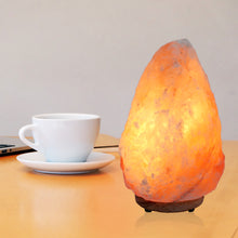 Natural Himalayan Rock Salt Lamp + Salt lamp and Salt night light Replacement bulbs (6-Pack)