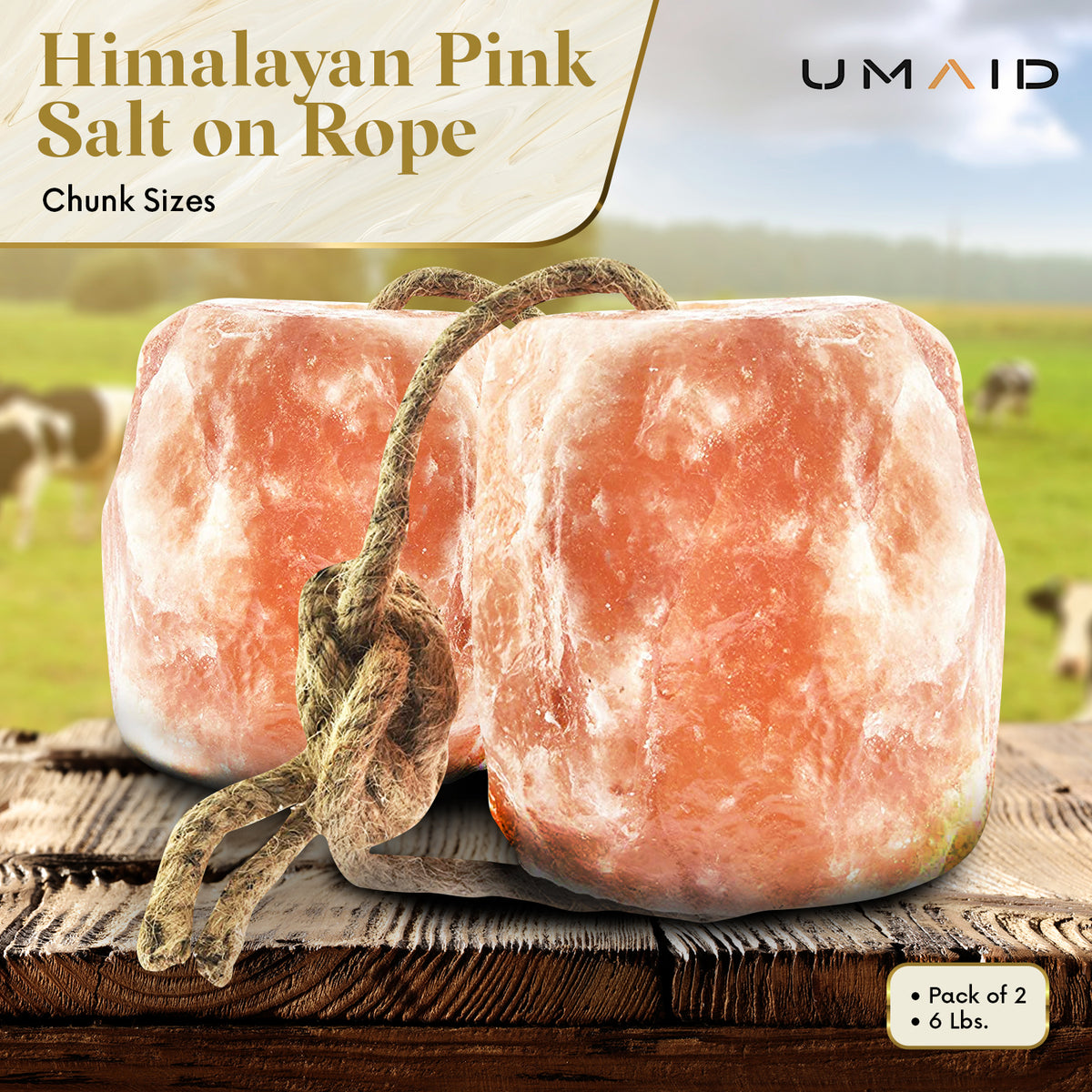 Nuovo blocco naturale per leccare il sale dell'Himalaya Nuovo blocco naturale per leccare il sale dell'Himalaya