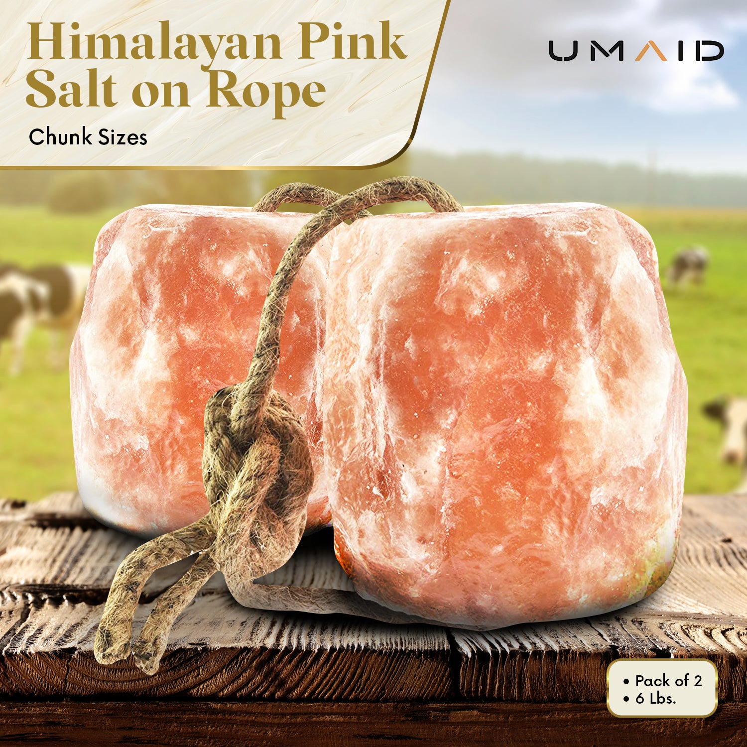 Close-up of Natural Himalayan Salt Lick with 84 Trace Minerals