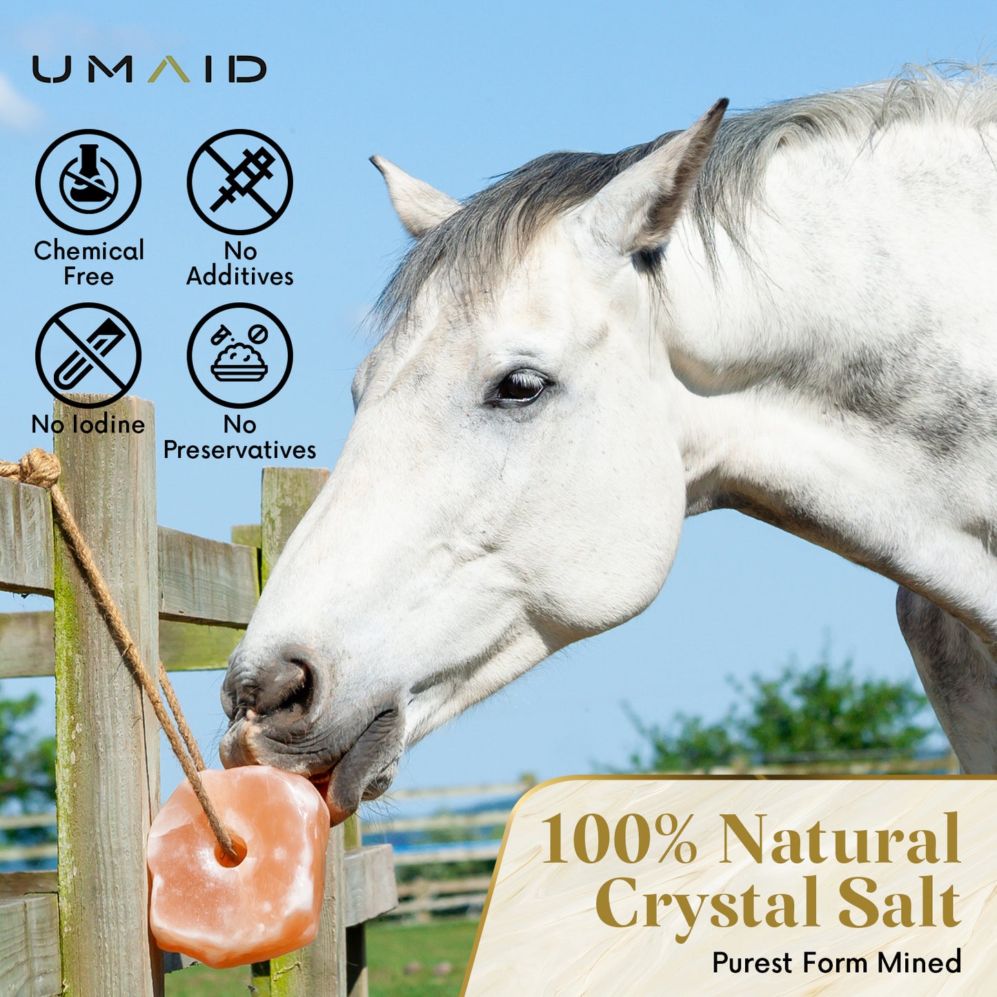 Himalayan Salt Lick Being Used by a Horse